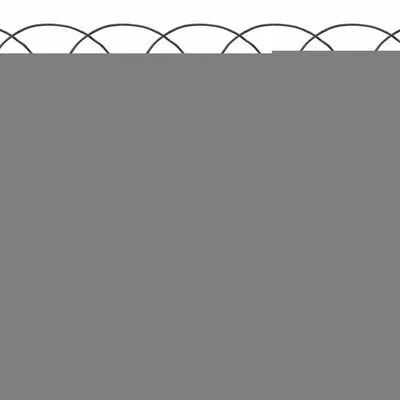 VidaXL Bordure de pelouse Fer enduit de poudre 10x0,4 m – Image 3