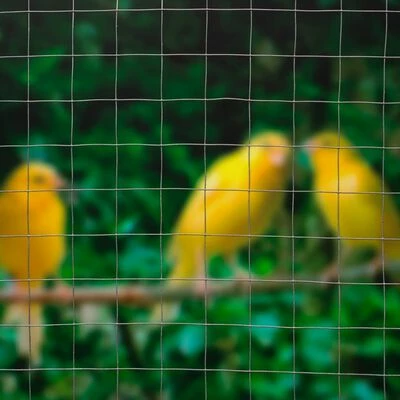 Nature Grillage métallique carré 0,5x2,5 m 6,4 mm Acier galvanisé – Image 3