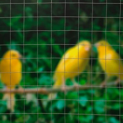 Nature Grillage métallique carré 0,5x2,5 m 13 mm Acier galvanisé – Image 3