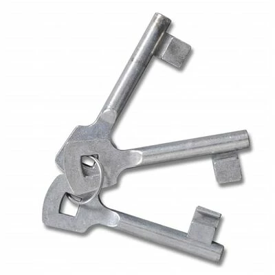 Portail de Clôture en Grillage Galvanisée 289 x 200 cm / 306 x 250 cm – Image 5