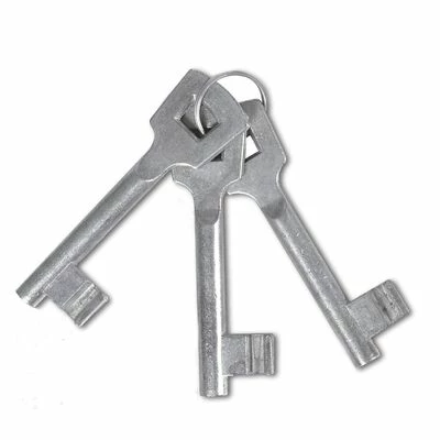 VidaXL Portail de clôture à porte simple Acier enduit de poudre – Image 5