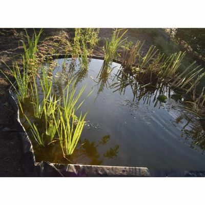 Nature Bordure de jardin 14 cm x 10 m 7 mm Noir – Image 6